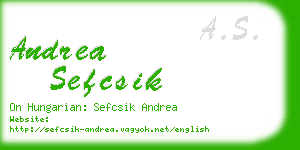 andrea sefcsik business card